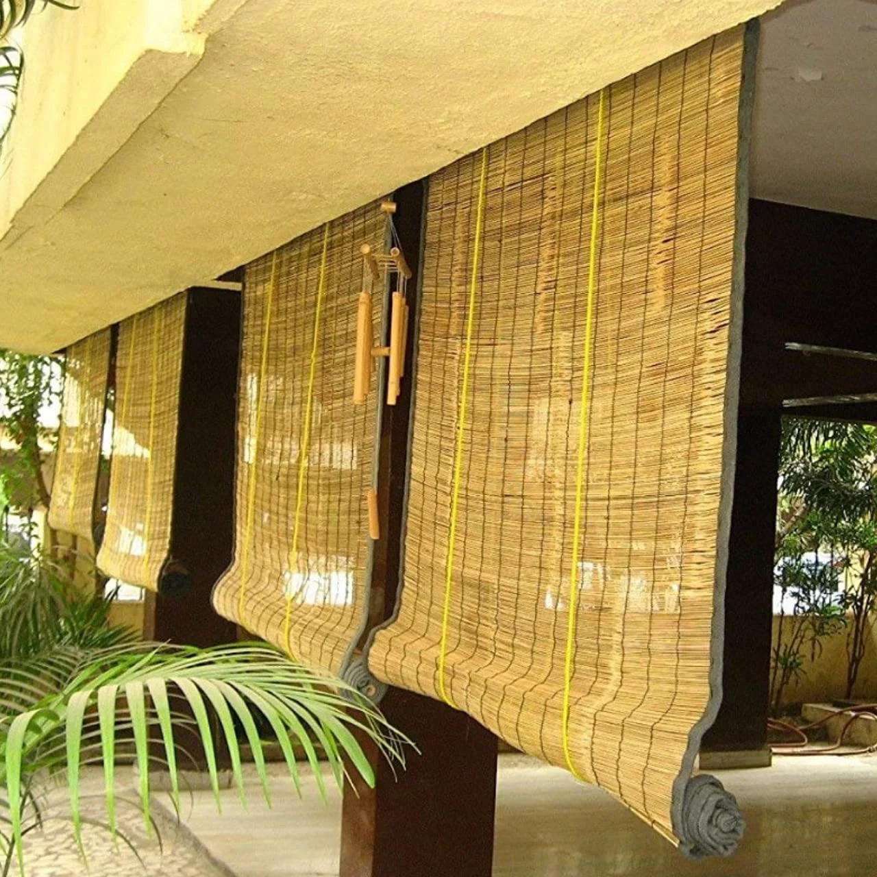 Balcony Bamboo Chicks